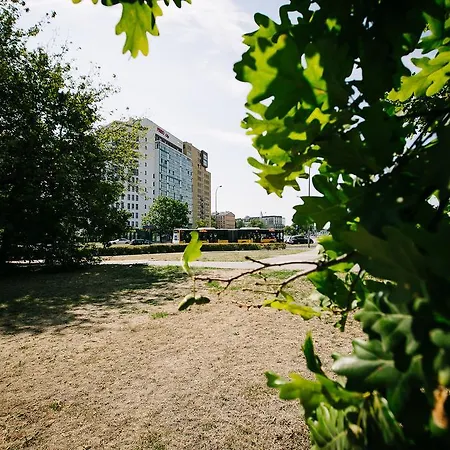 Apartman Renttner *